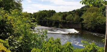 Un río con un puente y abundante vegetación.