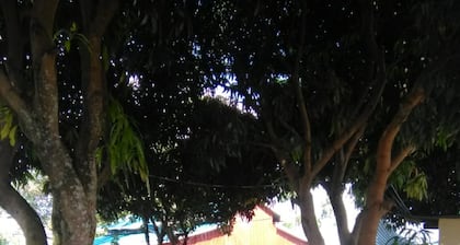 Brisa Caribbean