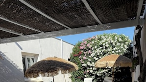 A patio with a table and chairs, a thatched umbrella, and a potted plant. - Air-conditioned villa with garden in the center of Marseillan (Marseillan)