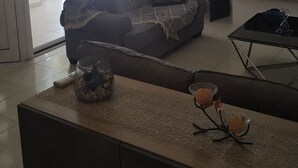 A living room with a sofa, a coffee table, and a fireplace. There is a ceiling fan and a door leading outside.