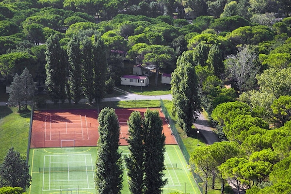 Eigentum, Pflanze, Natürliche Landschaft, Botanik, Gebäude, Haus, Grundstueck, Hecke, Vegetation, Gras