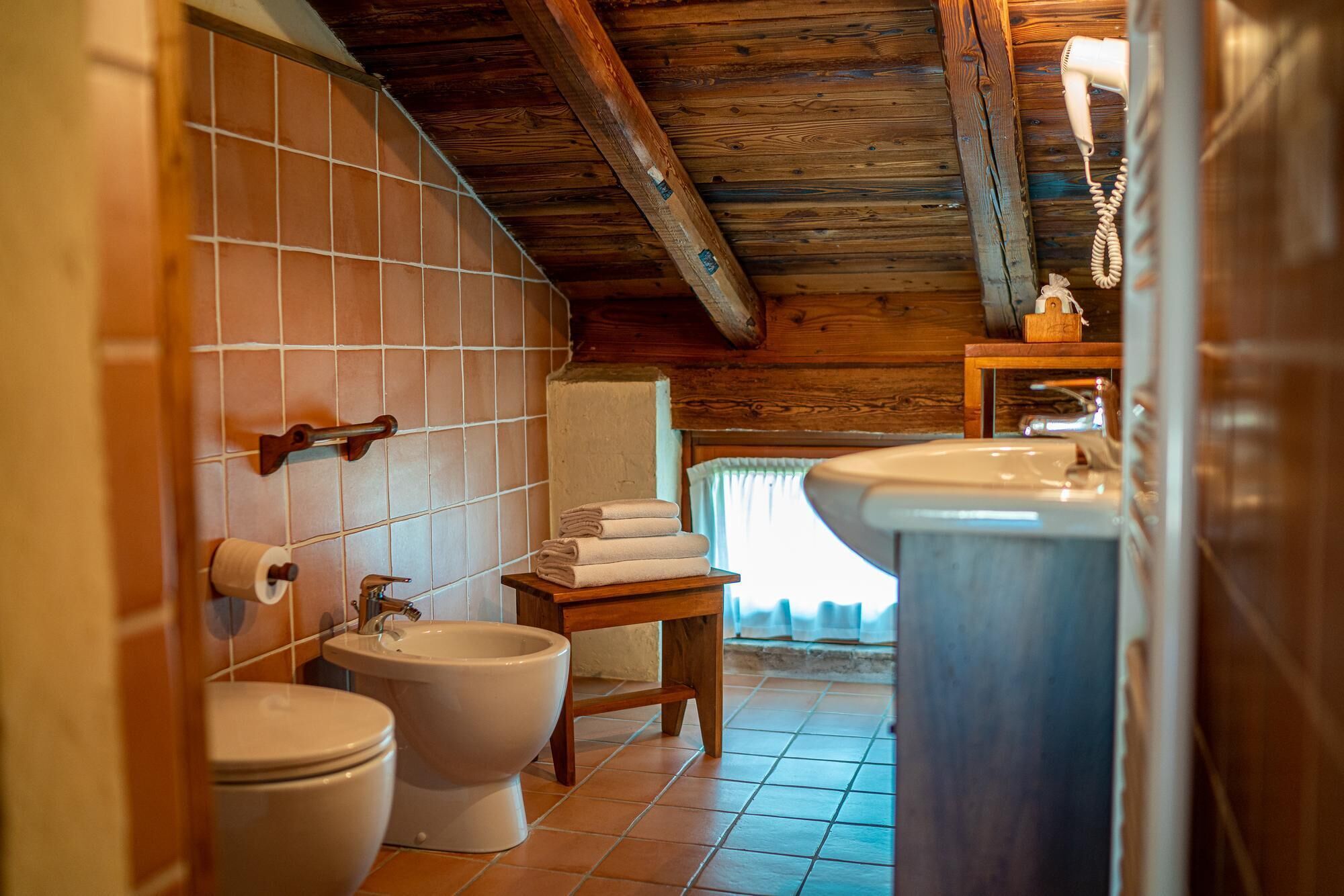 A bathroom with a wooden ceiling, a toilet, bidet, and a sink.