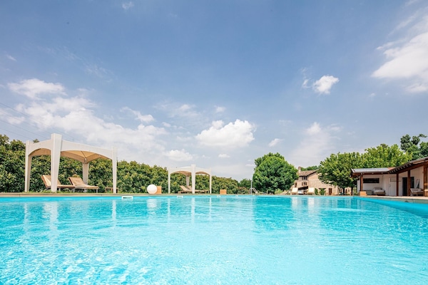 Seasonal outdoor pool, pool umbrellas, pool loungers