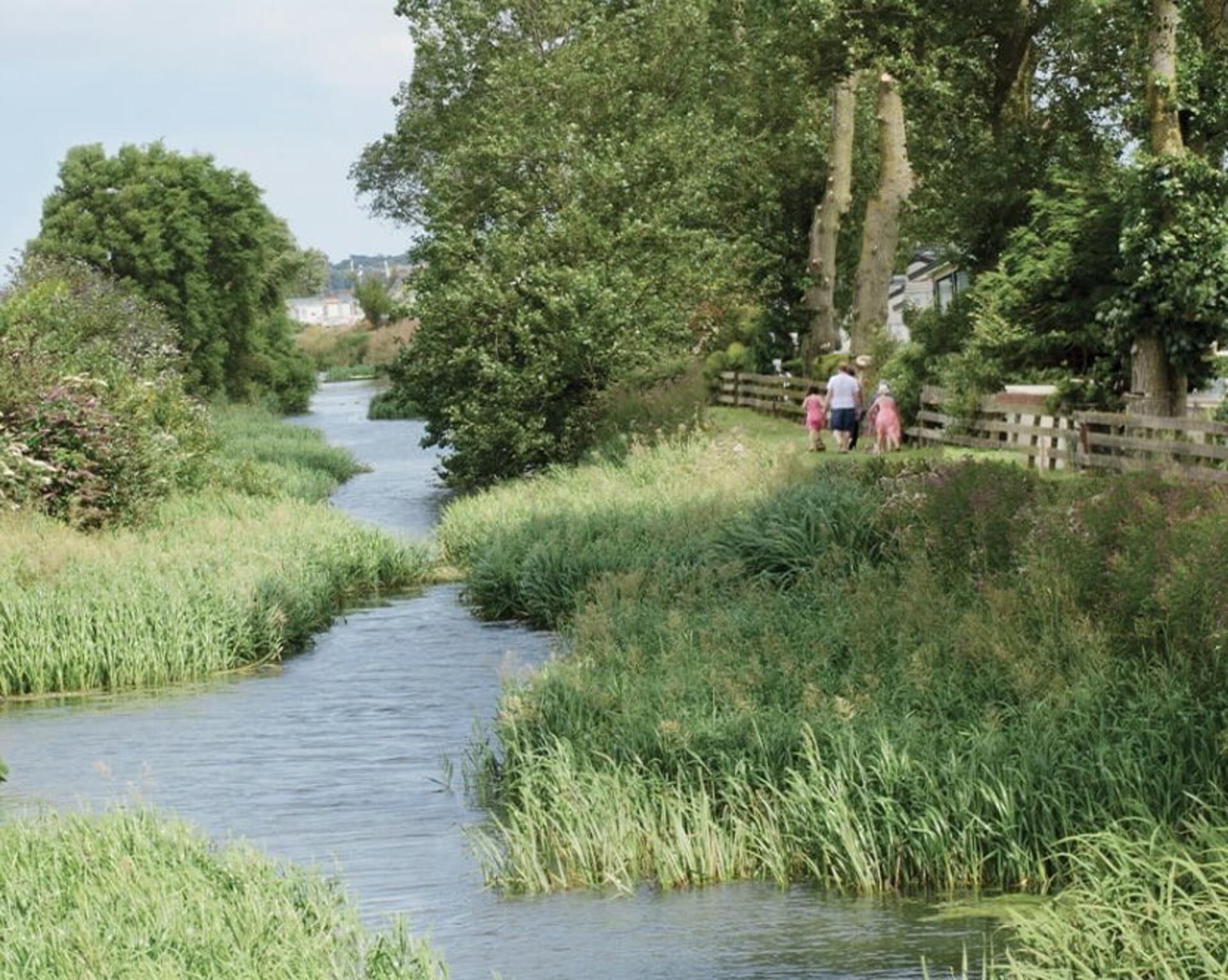 A narrow waterway flanked by lush greenery and a wooden fence.