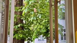 Bữa sáng đặc sản địa phương hàng ngày với phụ phí nhỏ