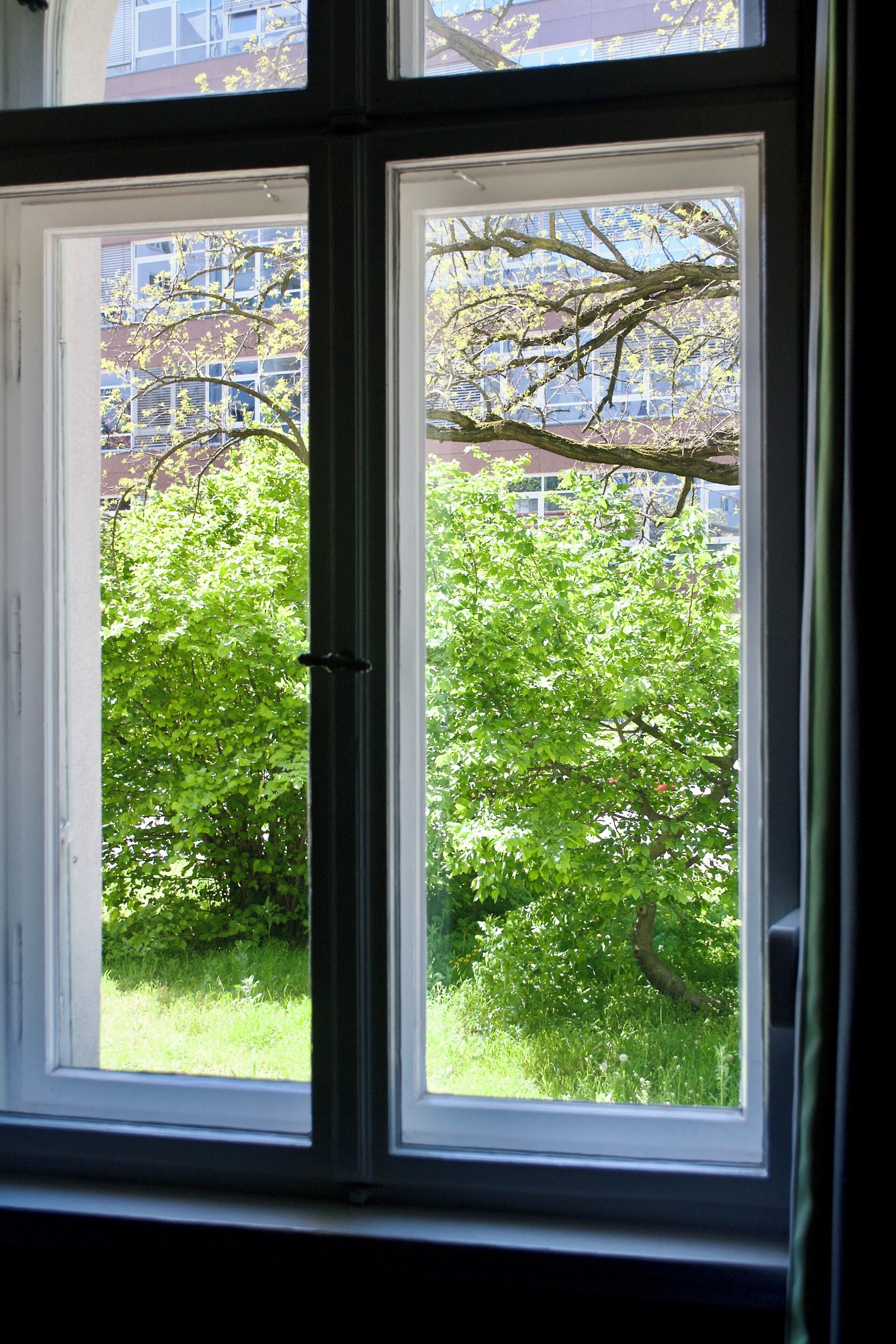 Una finestra amb vista a un arbre i un edifici al fons.