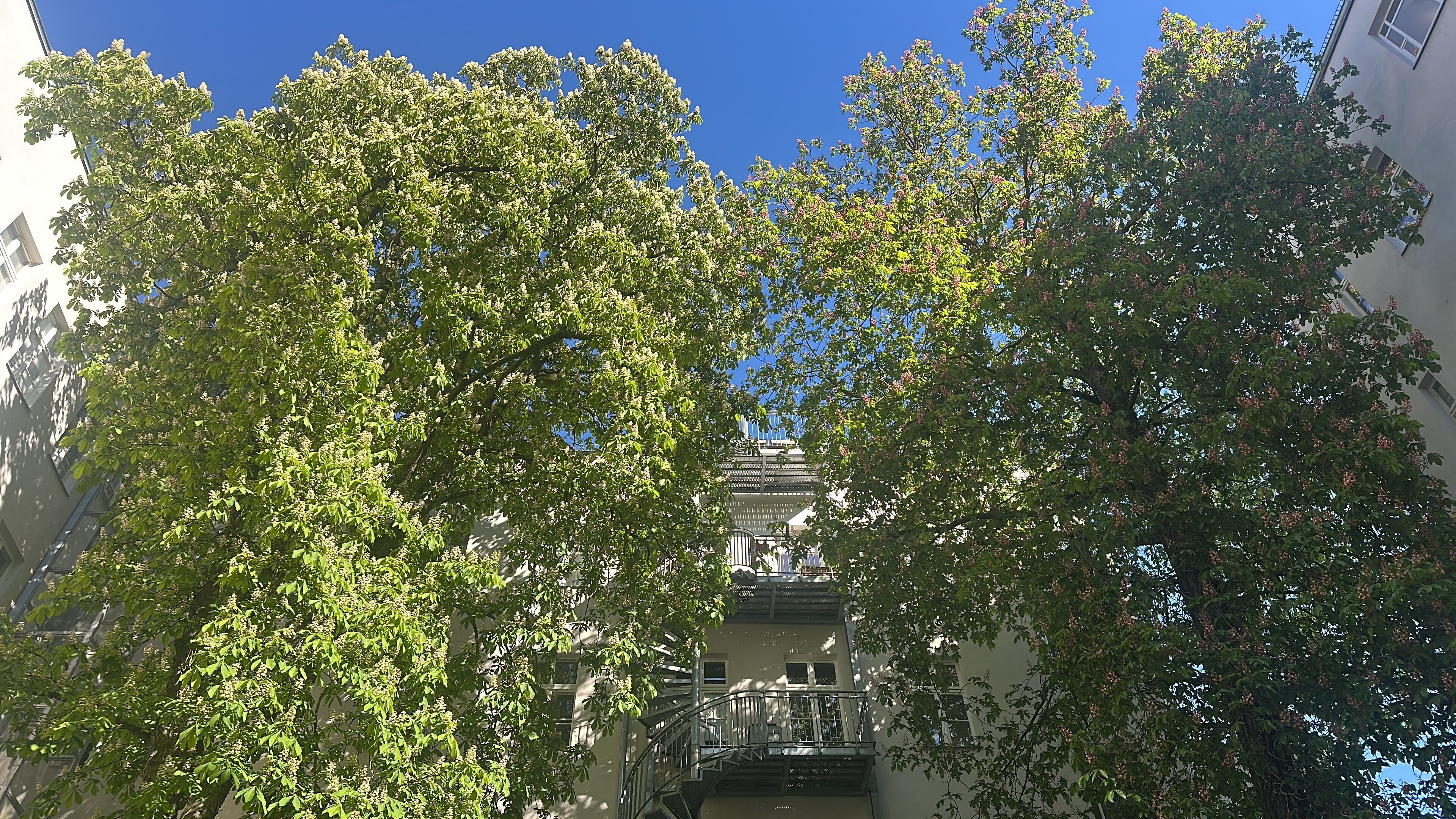 Photo - Wil7 Boutique Hotel