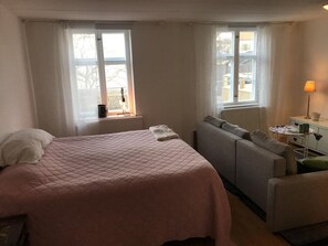 1 habitación y wifi 