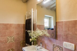 Shower, hair dryer, bidet, towels