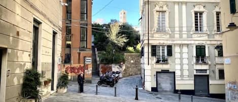 외관