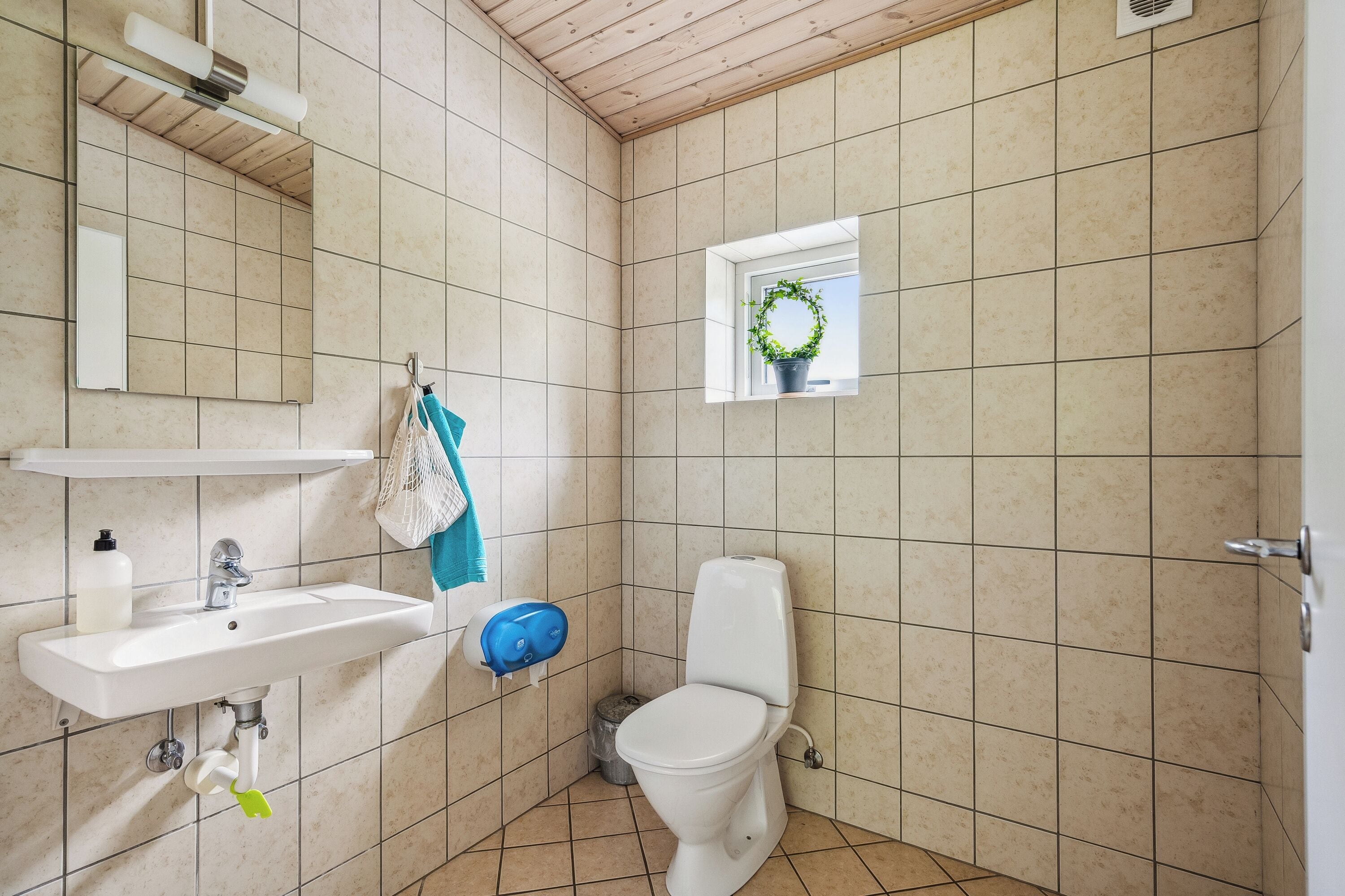 A bathroom with a sink, toilet, and a window with a plant.