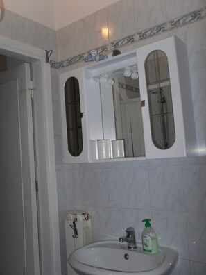 Shower, hair dryer, bidet, towels - The Little Studio Apartment (FIRENZE)