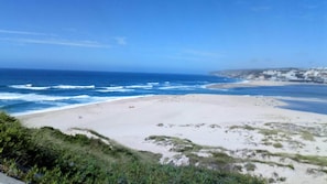 Une plage côtière avec un rivage sablonneux et des vagues de l’océan.