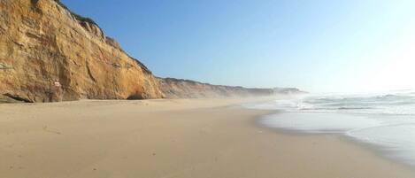 Plage, chaises longues, serviettes de plage