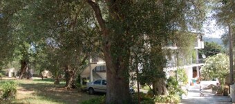 Il Moro della Molpa