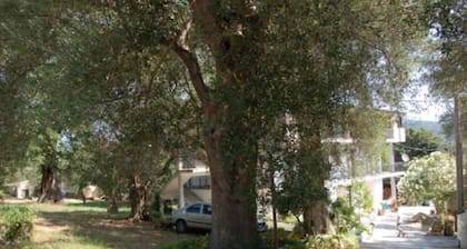 Il Moro della Molpa
