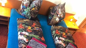A bed with floral-patterned pillows and a blue bedspread. - Hotel Eulenspiegel (Riesa)