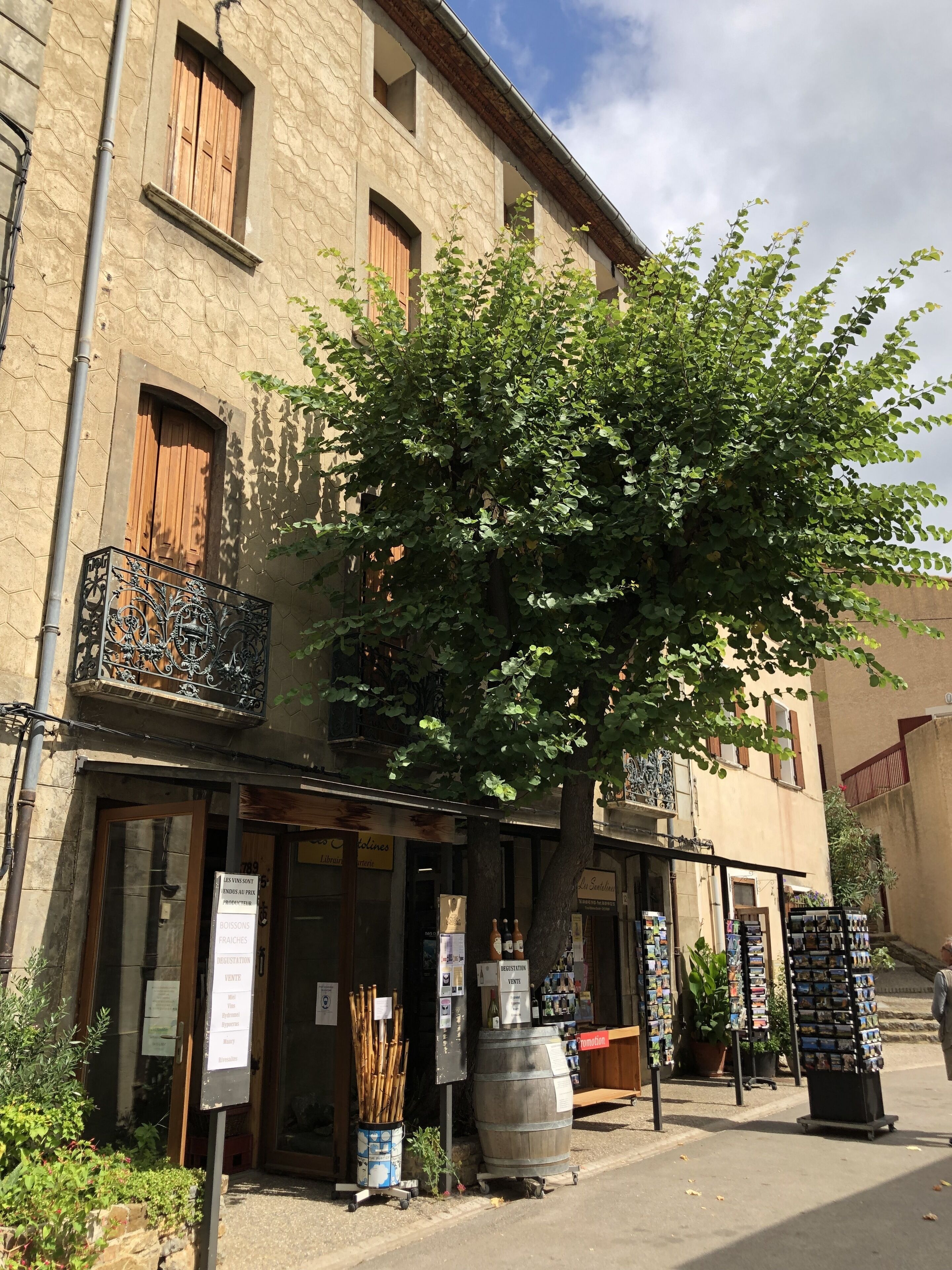 Photo - Aux Belles Vacances - ADULTS ONLY