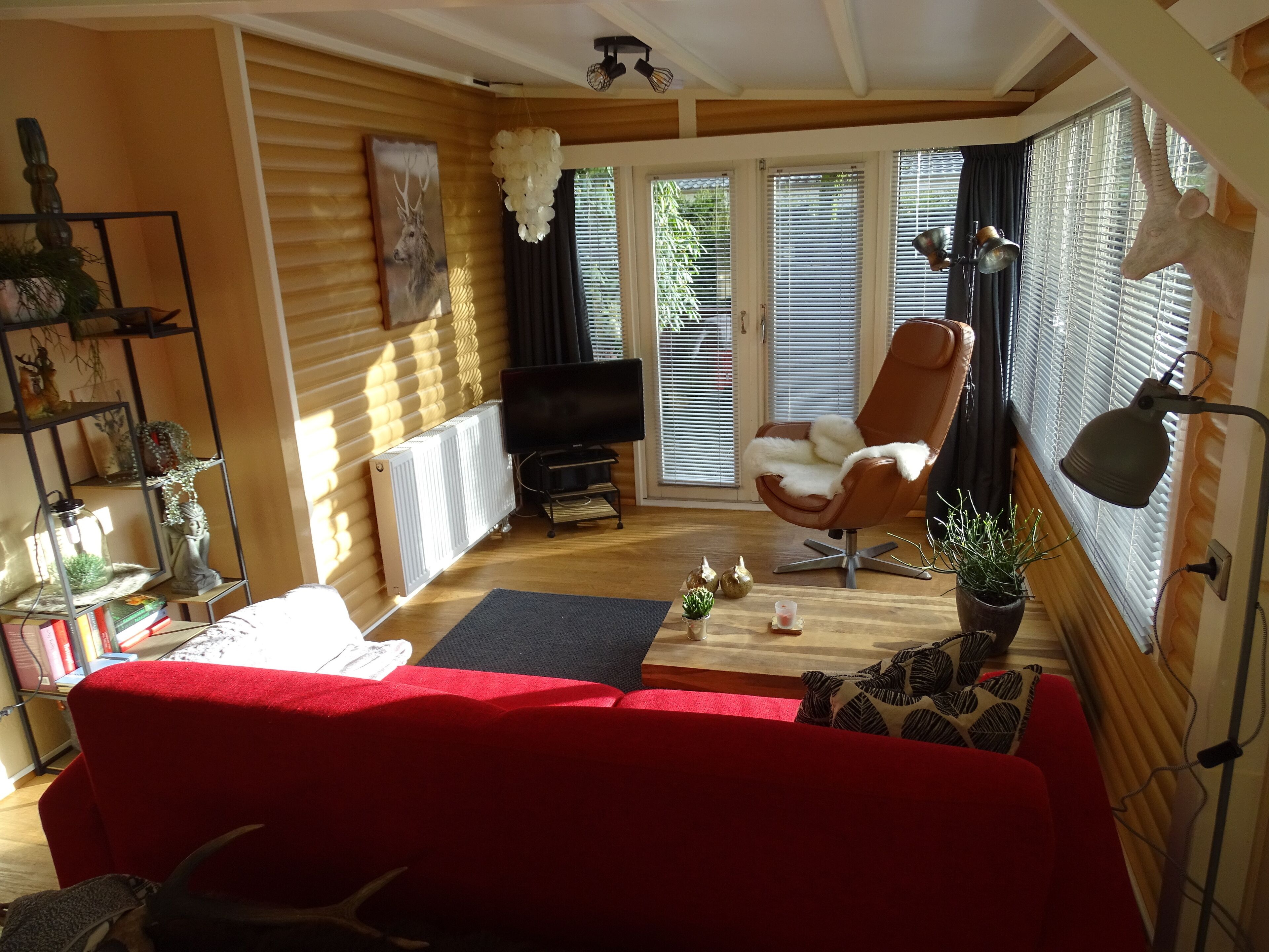 TV, DVD player, books, music library