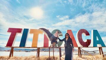 Deluxe Suite | 1 bedroom, down comforters, soundproofing, free WiFi