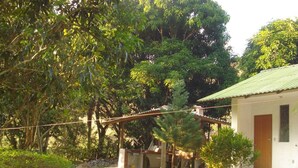 A house with a green roof, surrounded by lush greenery and trees. - SITE REFUGIO DO RIO - BANANAL - SP (BANANAL)