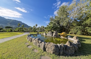A garden with a pond, rocks, and a path.