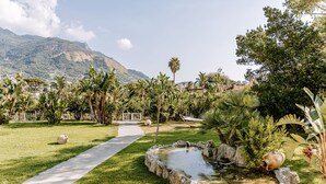 A landscaped garden with a pond, pathway, and tropical plants. - Hotel Zaro (Forio)