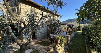 Maison de Campagne Ă Buti avec 4 chambres Ă coucher, 8 couchages