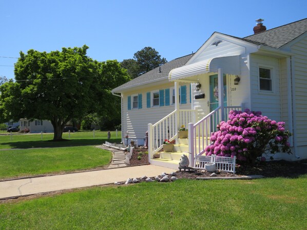 A single-story house with a front porch, a mailbox, and a number 233 on the door.