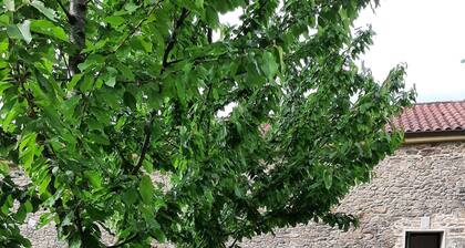 Casa Galipendre, en el corazón de Galicia. Tranquilidad. Ideal para familias