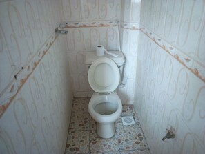 Une petite salle de bain avec des toilettes, un rouleau de papier toilette et une pomme de douche.