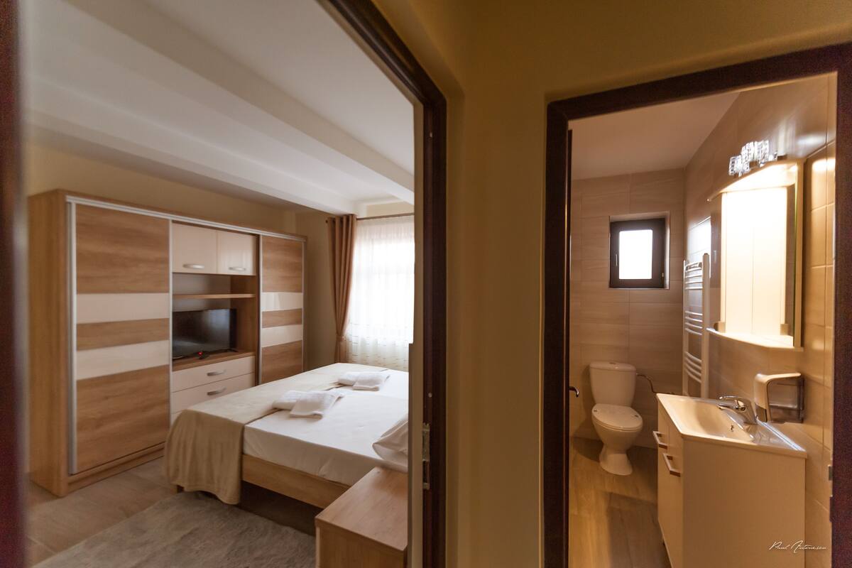 A bedroom with a bed, a TV, a wardrobe, and a bathroom with a sink and toilet.