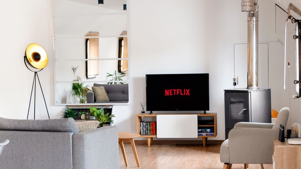 Een moderne woonkamer met een grijze bank, een vloerlamp, een flatscreen televisie waarop 'NETFLIX' staat, een boekenkast en een open haard.