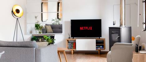 Smart TV, fireplace, DVD player, books