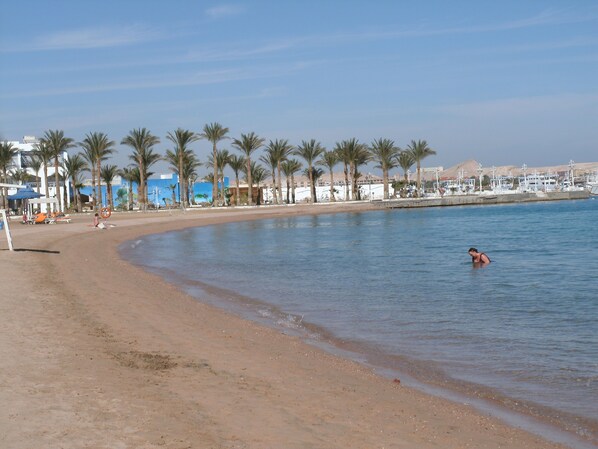 Beach - Small Egyptian oasis for rest and reflection, between Sea & desert (max 3 people) (Hurghada)