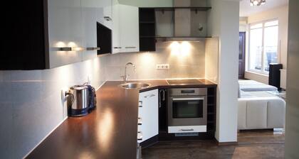 Kattohuoneisto, oma parkkipaikka ja sauna