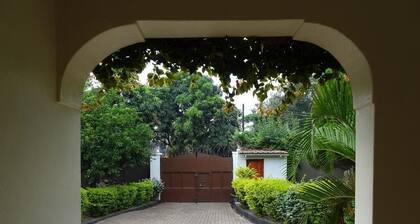 Blue Agama Guesthouse