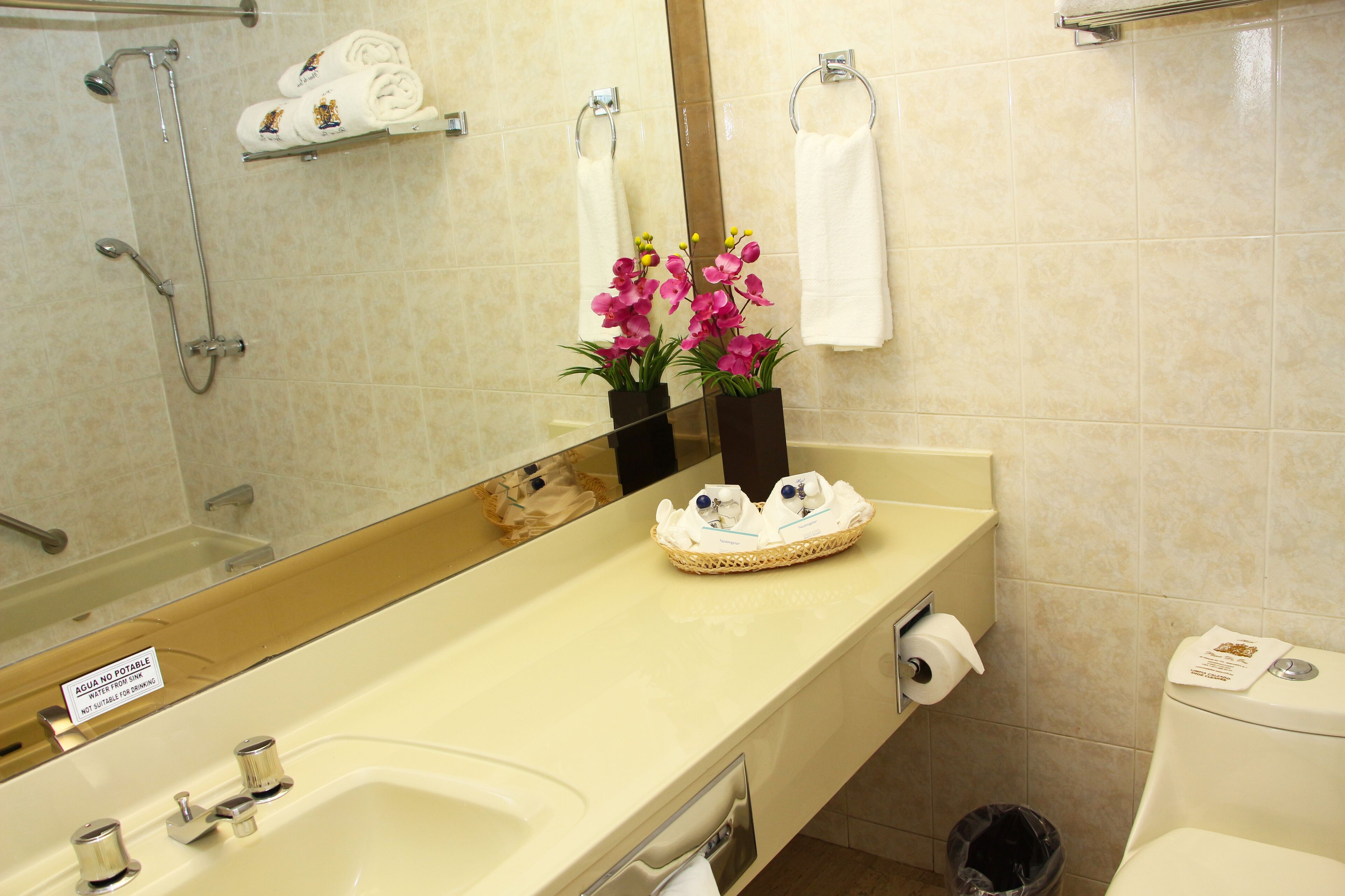 habitación sencilla | bathroom | shower, towels, soap, shampoo