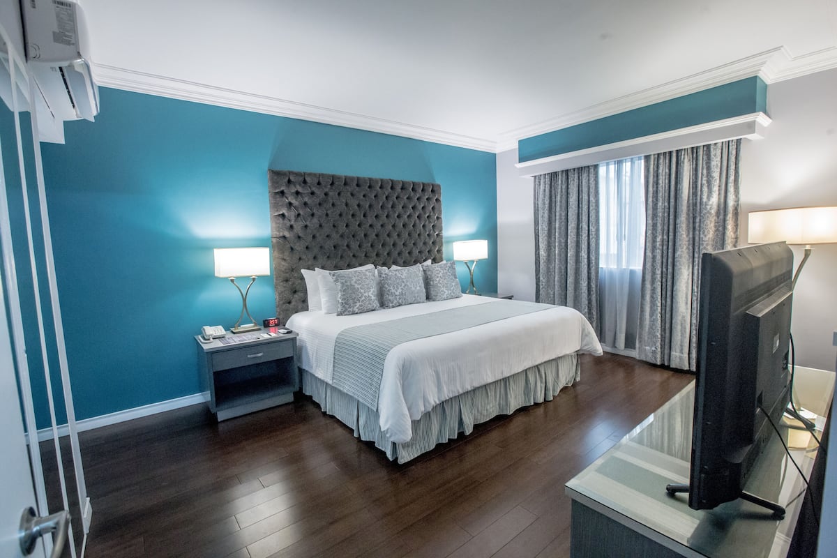 Een slaapkamer met een groot bed, een nachtkastje met een lamp, een televisie en een raam met gordijnen.