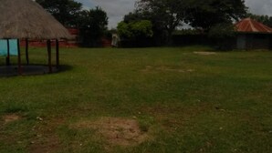 A grassy field with a thatched-roof structure and a small building in the background. - Koyucho Guest House (Bondo)