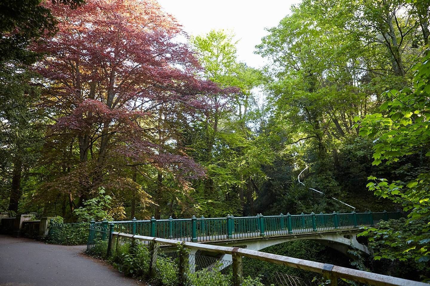 Eine Steinbrücke mit Metallgeländer, umgeben von üppiger Vegetation und Bäumen mit Herbstlaub.