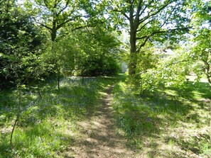 Property grounds - River Cottage a Country Retreat in Wooded Gardens (Wareham)