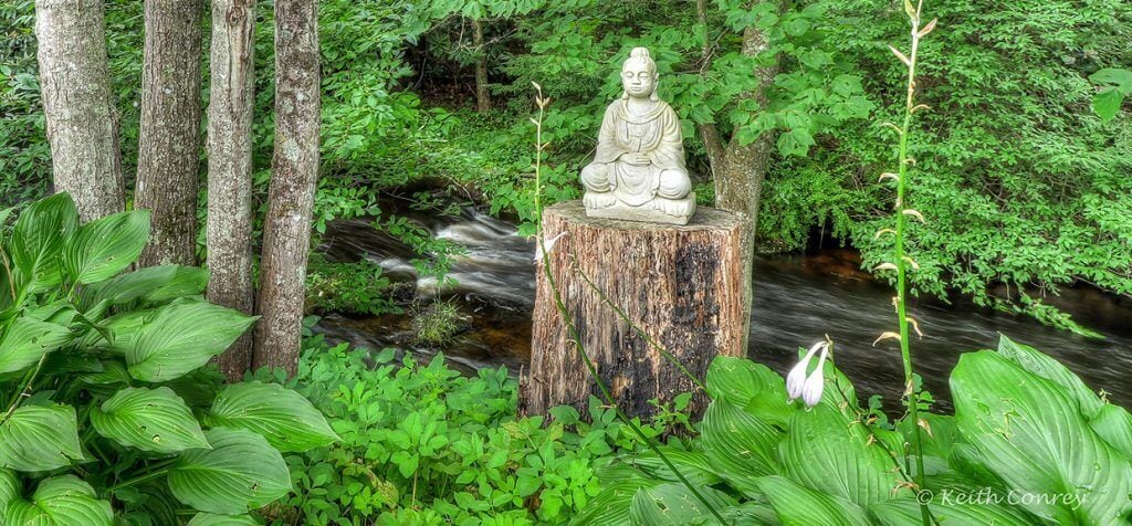 A stone Buddha statue on a tree stump surrounded by lush greenery and a flowing stream.