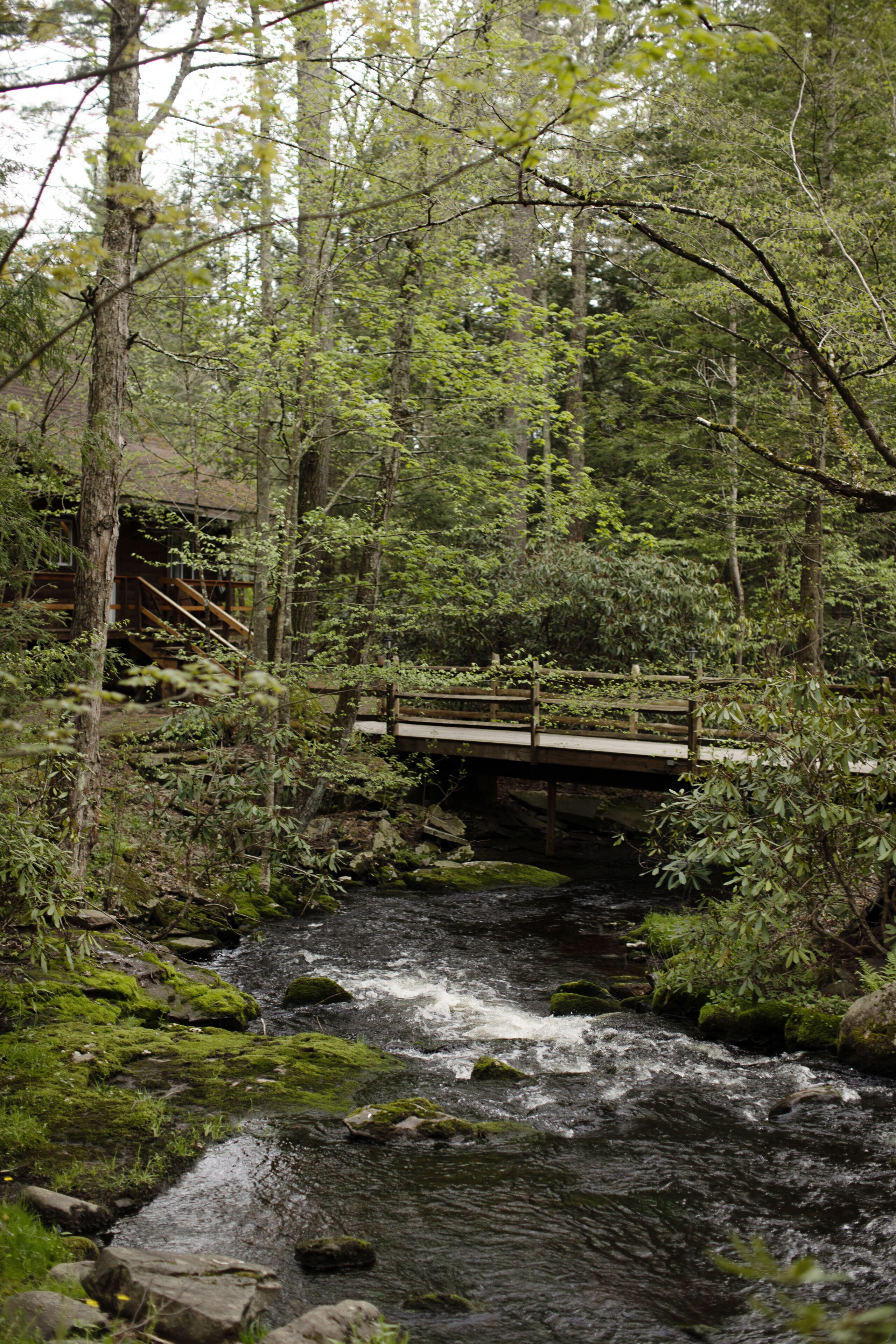 moss cottage (pet friendly) | water view