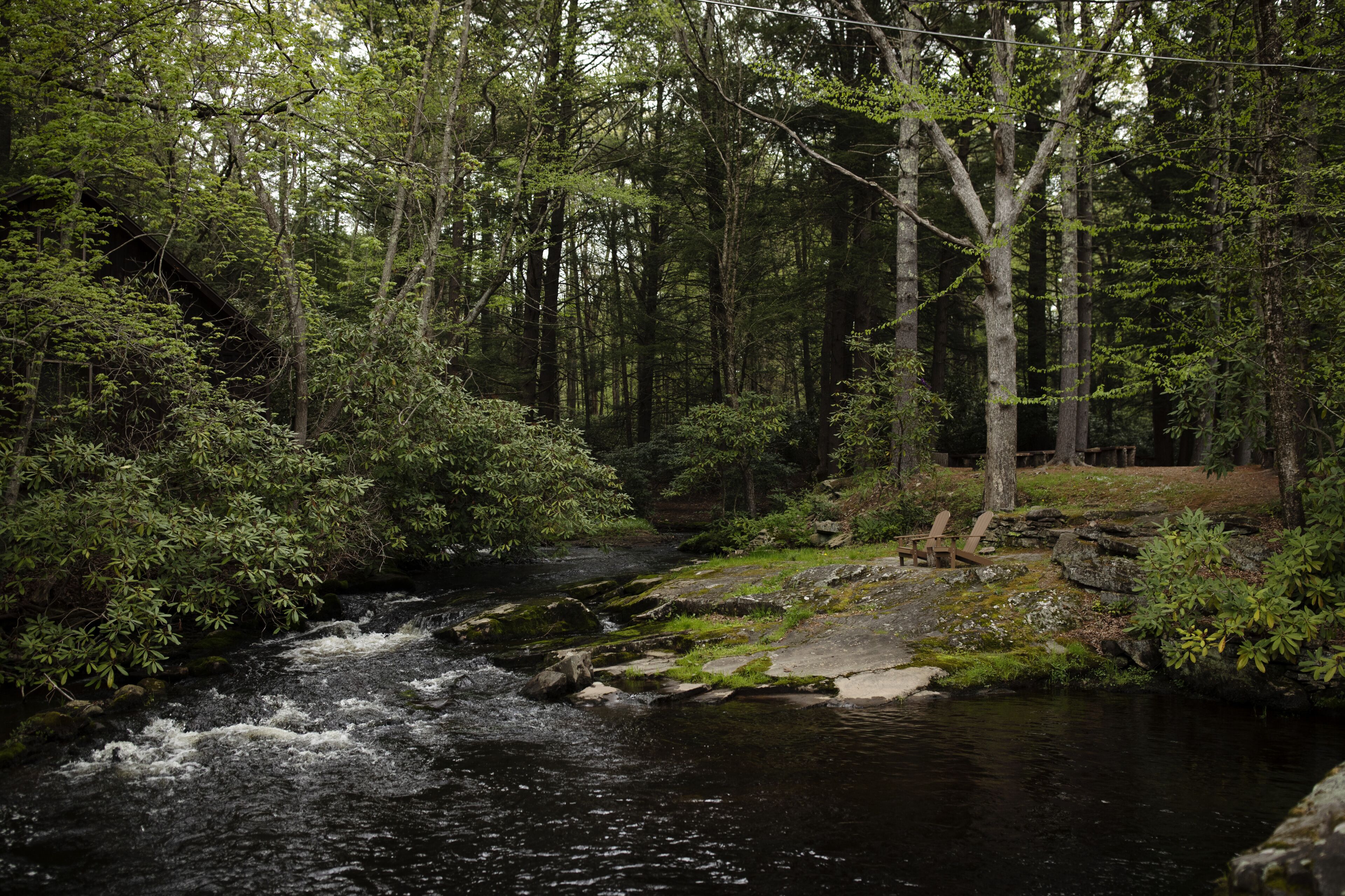 laurel cottage (pet friendly) | water view