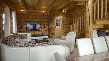 Televisie, een open haard, videospelletjes en een dvd-speler