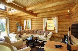 Televisio, takka, videopelejä, DVD-soitin