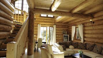 Televisión, chimenea, videojuegos, reproductor de DVD