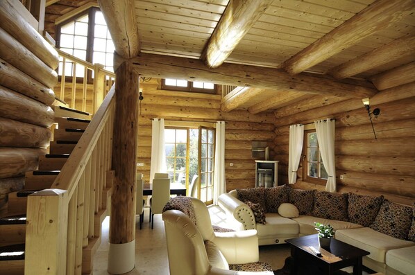 TV, fireplace, video games, DVD player