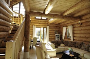 Televisio, takka, videopelejä, DVD-soitin